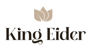 King Eider